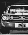 Wownic classic Mustang-inspired muscle car poster featuring a black-and-white front view with pony grille emblem and chrome bumper